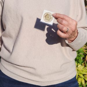 Alternative view of Harmony frekvenčni obliži